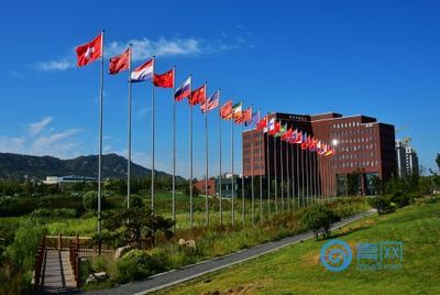 中德生態園集聚強勁帶動力,助力青島西海岸新區穩健發展!