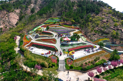 免費游花海！第三屆青島花卉博覽會今日在生態(tài)園盛大啟動