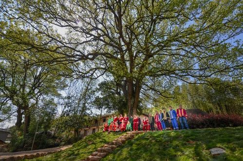 浙江擘畫詩路文化新藍圖 九市聯動，生態為基，打造中華文脈傳承創新帶