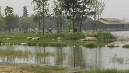 勝地公園 吳江最大的生態園，自然與人文的完美融合