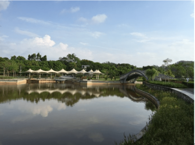 東進下的坪山，你還認識嗎？探秘生態園新篇