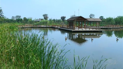 國慶樂游 上海出發，千燈古鎮與大唐生態園一日探幽之旅