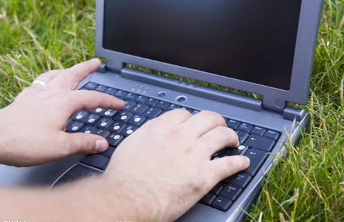 美麗中國，我是行動者——計算機軟件研發的綠色使命與創新實踐