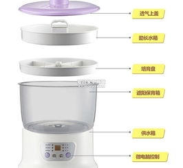 北京小熊DYJ-S6108豆芽機(jī)批發(fā)代理廠(chǎng)家、產(chǎn)品信息與技術(shù)開(kāi)發(fā)全解析